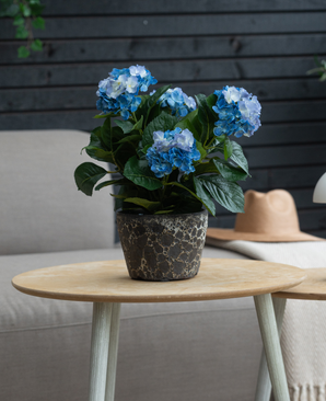 Kunstig Hortensia Deluxe Blå UV 43 cm