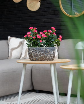 Kunstig Rosebusk Rosa UV i Potte 35 cm