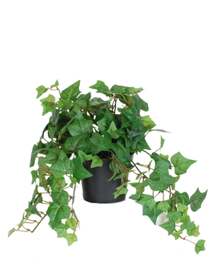 Kunstig Eføy Mini Grønn 22cm