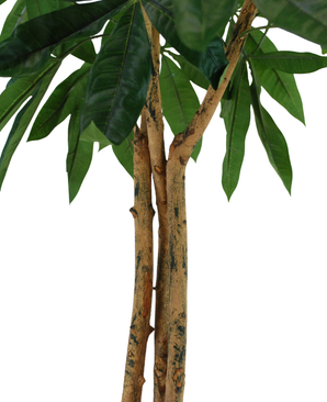 Kunstig Pachira tre 70cm