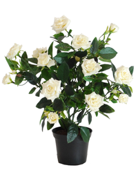 Kunstig Rosebusk i Potte Krem 35cm