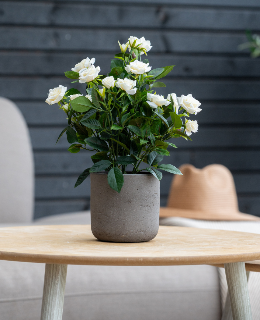 Kunstig Rosebusk Krem UV i Potte 35 cm