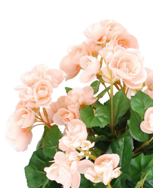 Kunstig Begonia Korall UV 36 cm