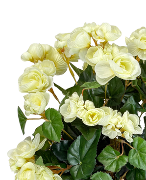 Kunstig Begonia Lime UV 36 cm