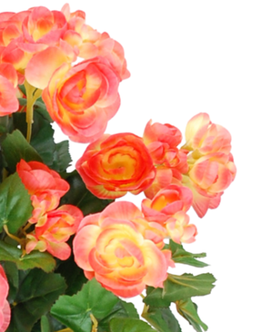 Kunstig Begonia Fersken UV 36 cm