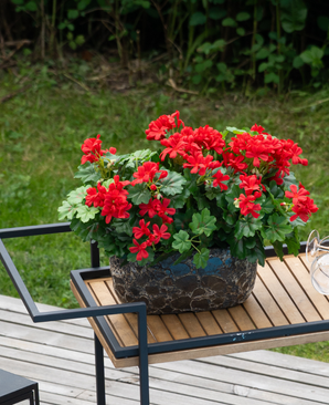 Kunstig Geranium i Potte Rød UV 40 cm