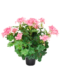 Kunstig Geranium i Potte Rosa UV 40 cm