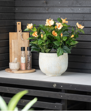 Kunstig Hawaiirose Gul UV 44 cm
