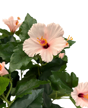 Kunstig Hawaiirose Rosa UV 44 cm