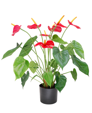 Kunstig Anthurium Plante Rød UV 53 cm