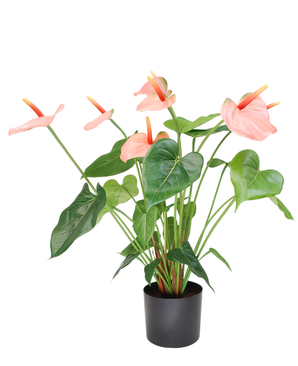 Kunstig Anthurium Korallrød UV 53 cm