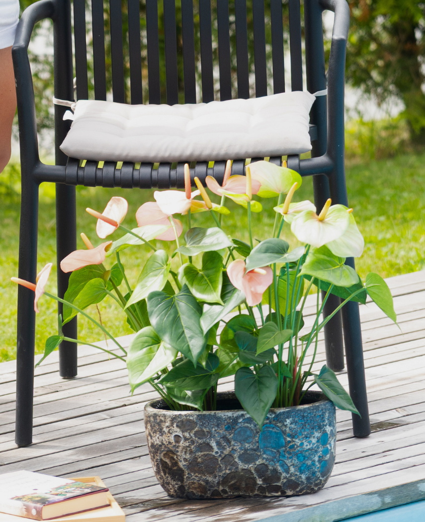 Kunstig Anthurium Korallrød UV 53 cm