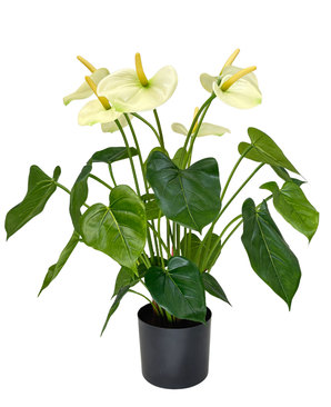 Kunstig Anthurium Kremhvit UV 53 cm