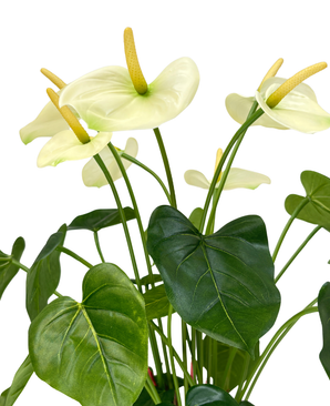 Kunstig Anthurium Kremhvit UV 53 cm