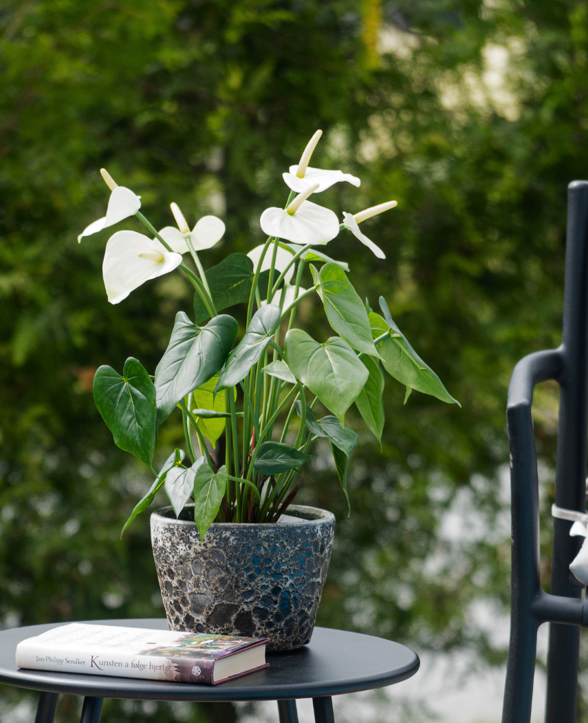 Kunstig Anthurium Kremhvit UV 53 cm