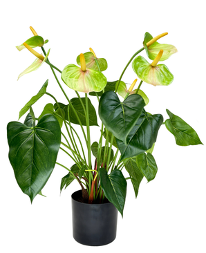 Kunstig Anthurium Grønn UV 53 cm