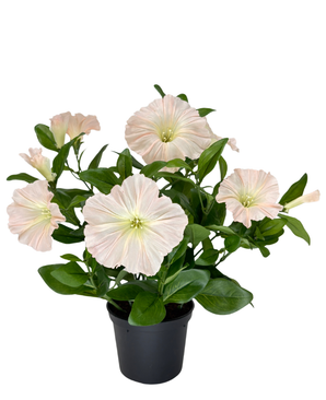 Kunstig Petunia i Potte Korall UV 30 cm