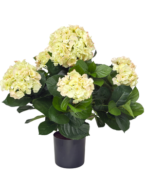 Kunstig Hortensia Deluxe Lys Fersken UV 53 cm