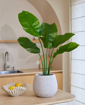Kunstig Strelitzia Nicolai Deluxe 90cm