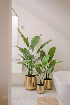 Kunstig Strelitzia Nicolai Deluxe 165cm