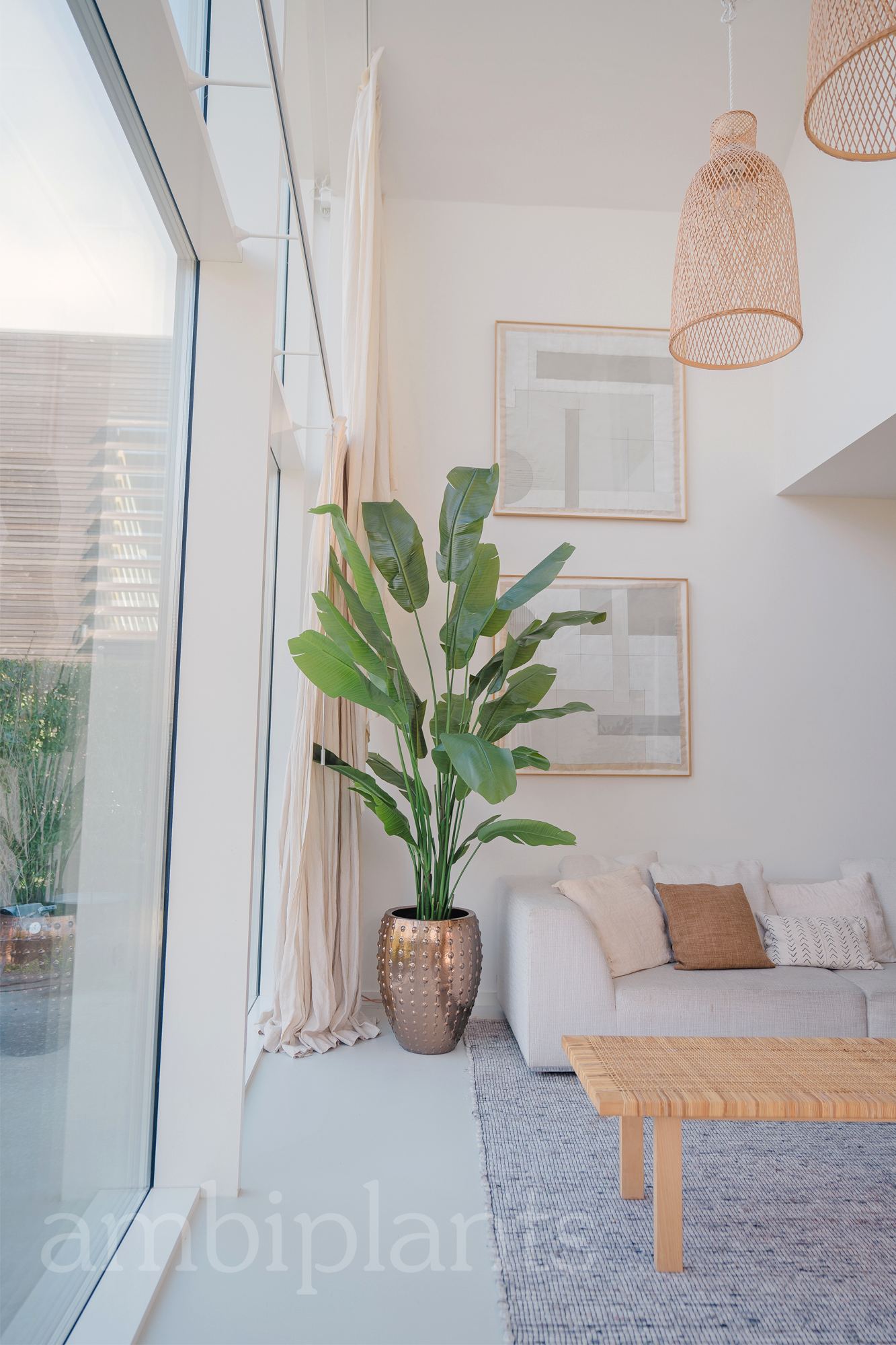 Kunstig Strelitzia Nicolai Deluxe 210cm