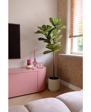 Kunstig Fiolinfiken Tre Deluxe 155cm