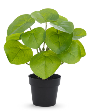 Kunstig Pengeplante 27cm