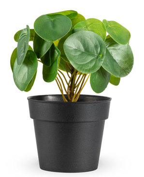 Kunstig Mini Pengeplante 20cm