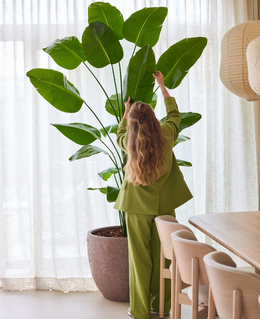 Kunstig Strelitzia Real Touch 240cm