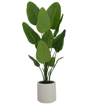 Kunstig Strelitzia Real Touch i Beige Potte 180 cm