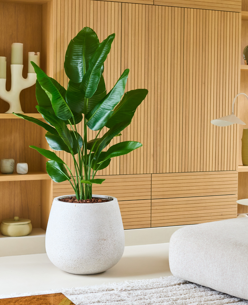Kunstig plante Strelitzia Real Touch Deluxe 150cm