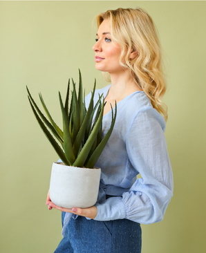 Kunstig Plante Aloe Vera 43 cm