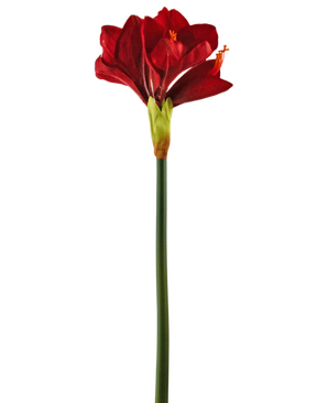 Kunstig Amaryllis Blomst Rød 66cm