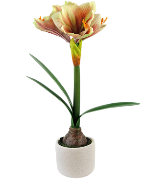 Kunstig Amaryllis Rød/gul i Potte 48cm