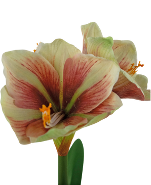 Kunstig Amaryllis Rød/gul i Potte 48cm