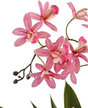 Kunstig plante Mini Cymbidium Real Touch 45 cm rosa