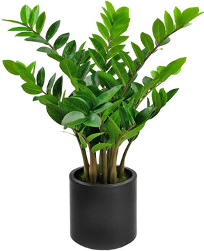 Kunstig Zamioculcas i Sort Krukke 80cm