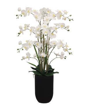 Eksklusiv Kunstig Orkidé Real Touch Hvit 110cm