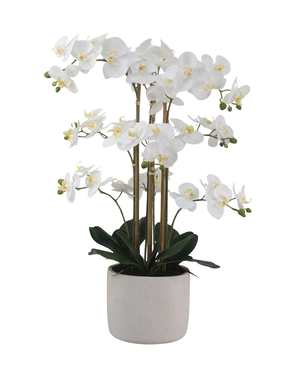 Kunstig Orkidé Hvit Real Touch 75cm