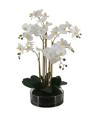 Kunstig Real Touch Phalaenopsis Orkidé Hvit i Glasskrukke 64cm