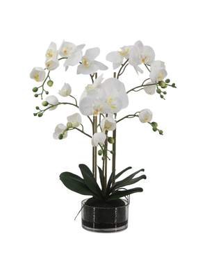 Kunstig Real Touch Phalaenopsis Orkidé Hvit i Glasskrukke 66cm
