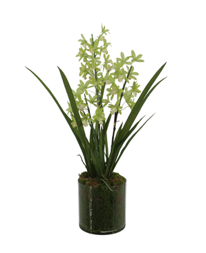 Kunstig Mini-Cymbidium Orkide Grønn Real Touch 60cm