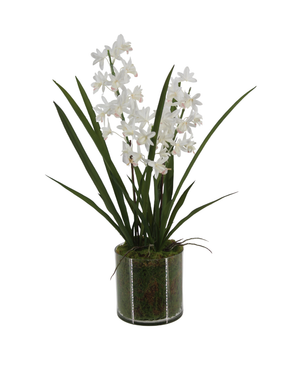 Kunstig Mini-Cymbidium Orkide Hvit Real Touch 60cm