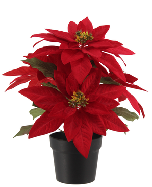 Kunstig Julestjerne Rød  50cm