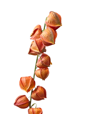 Kunstig Lampion Stilk Oransje 79 cm