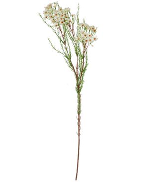 Kunstig Voksblomst Krem/Grønn 78cm