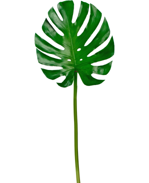 Kunstig blad Monstera 88cm