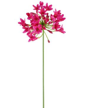 Kunstig Agapanthus Fuchsia 75 cm