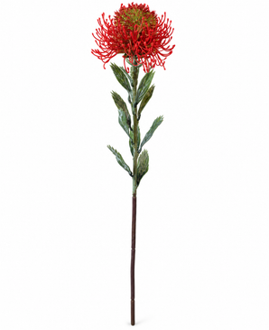 Kunstig Protea Oransje 60 cm