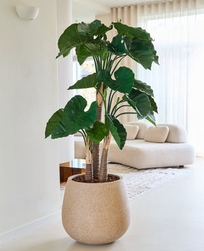 Kunstig Alocasia 150cm
